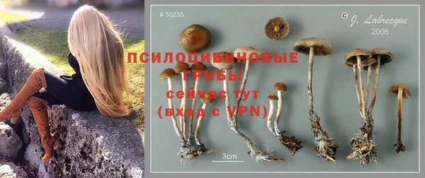 винт Волоколамск